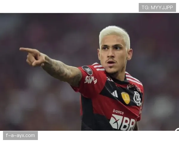 弗拉门戈球队本赛季表现如何？